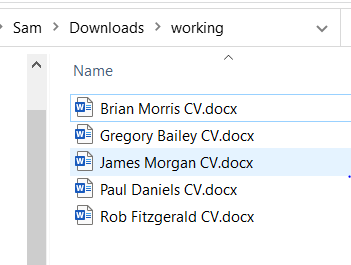 The Word Documents